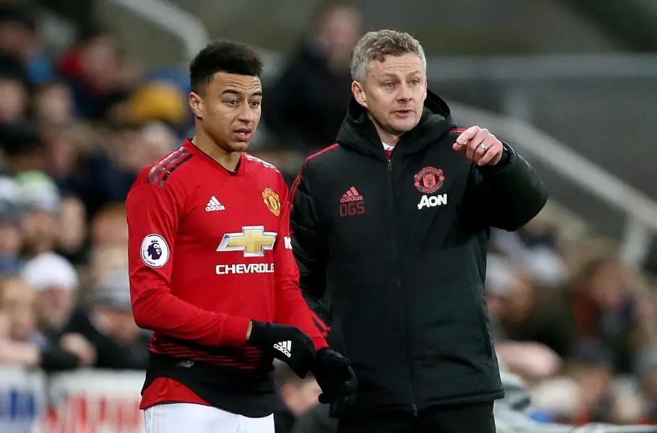 粉絲們紛紛 粉絲們紛紛